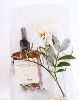 clémence barbiche, direction artistique