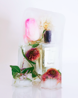 clémence barbiche, direction artistique