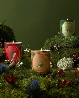 clémence barbiche, direction artistique