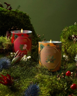 clémence barbiche, direction artistique