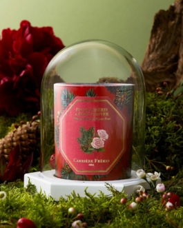 clémence barbiche, direction artistique