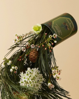 clémence barbiche, direction artistique