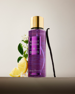 clémence barbiche, direction artistique