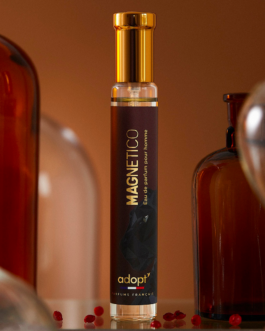 clémence barbiche, direction artistique