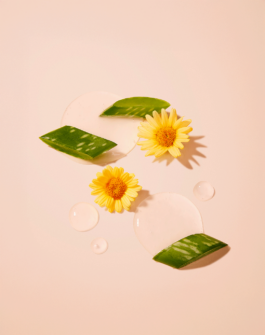 clémence barbiche, direction artistique